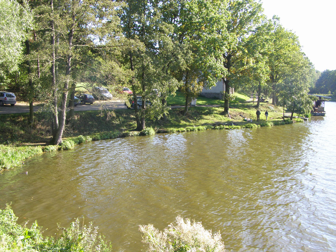 P9150044.jpg